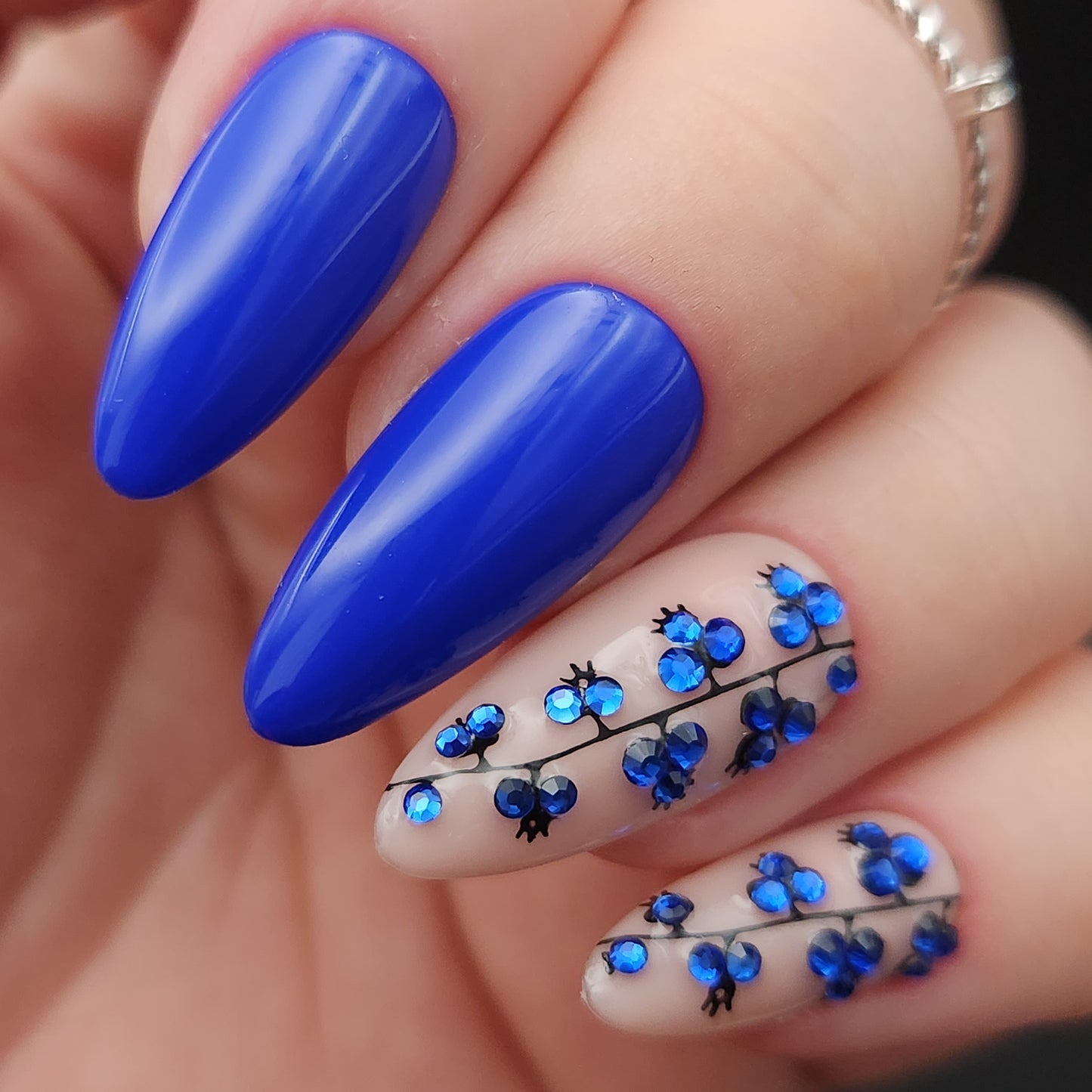 Press on Nails Blueberry